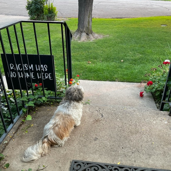 Meet your Posher, Susan - Picture 11 of 16